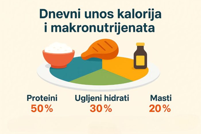 Chatgpt image 2025 m06 20 11 05 41